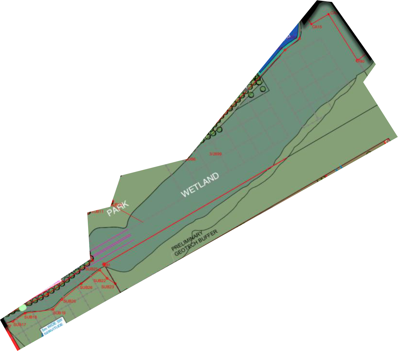 Wetland area